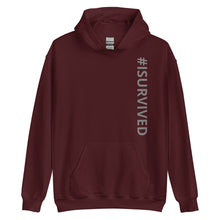 Load image into Gallery viewer, Unisex Hoodie '#ISURVIVED'