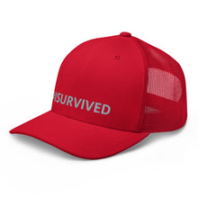 Load image into Gallery viewer, Trucker Mesh Cap

